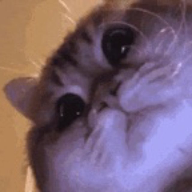 @solchains