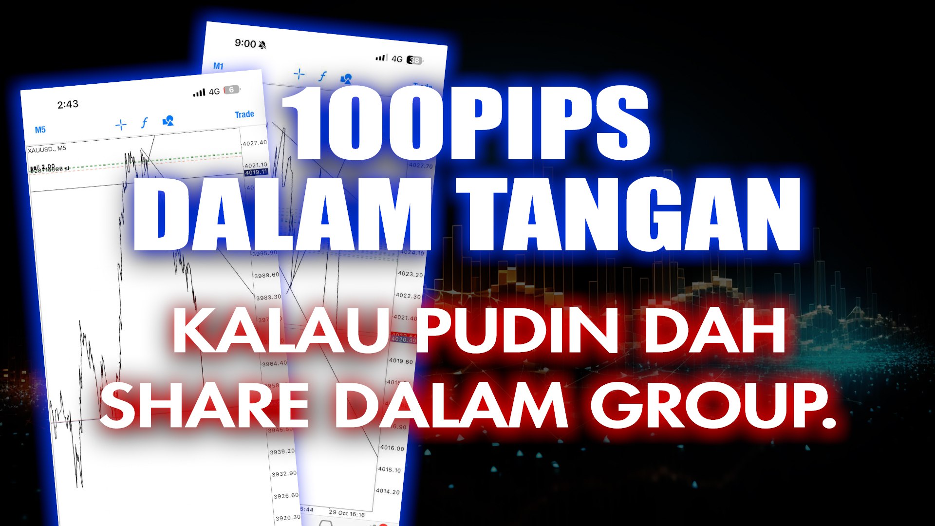SamSudin Sang Flipper