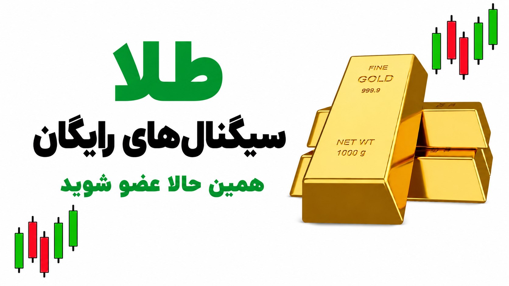 RONAL SKILL HUB مرکز مهارت رونال