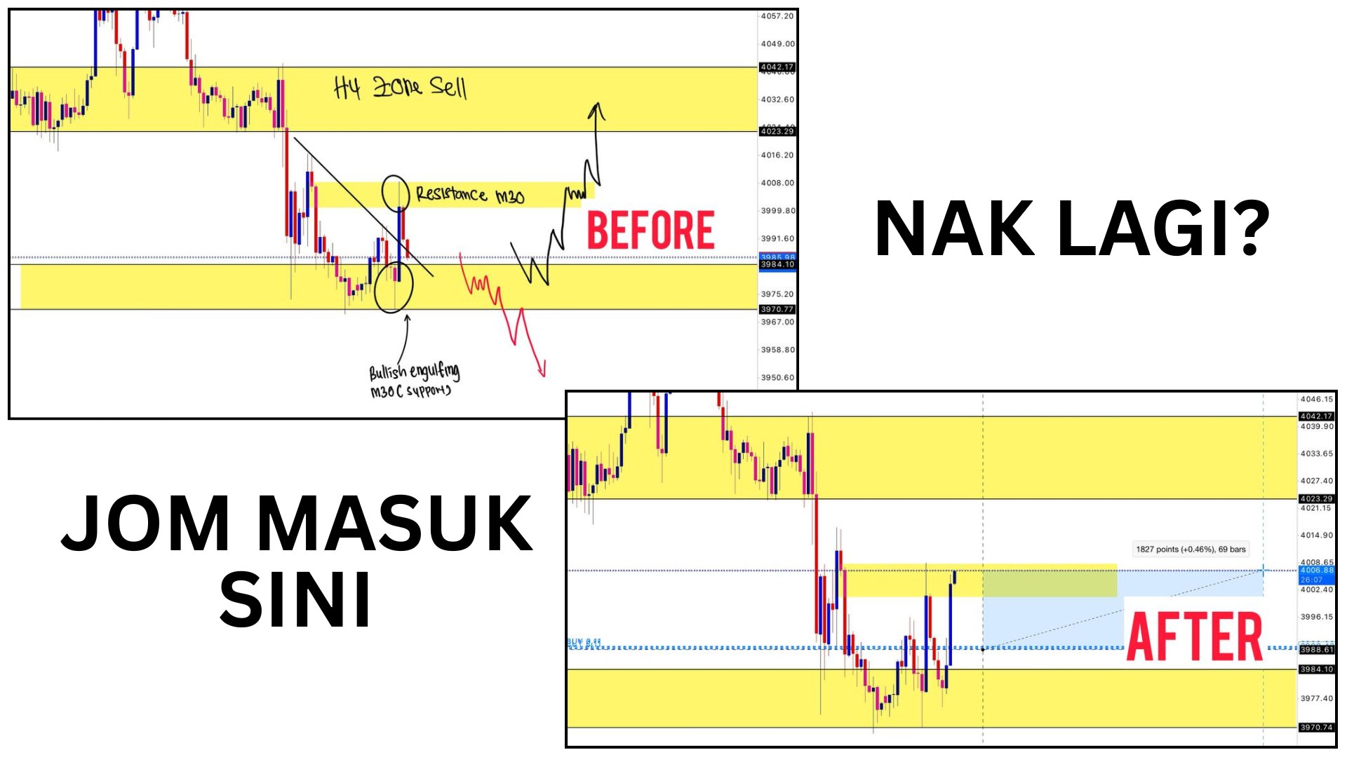 Along Gold Scalper