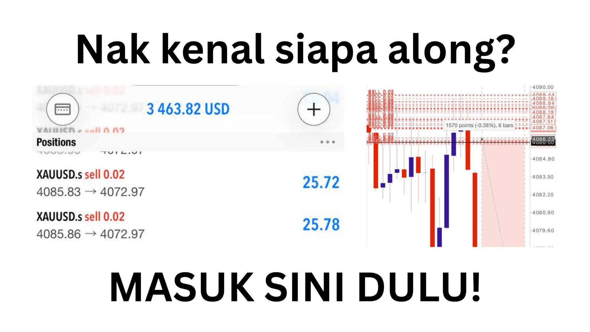 Along Gold Scalper
