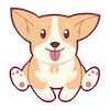 🐶