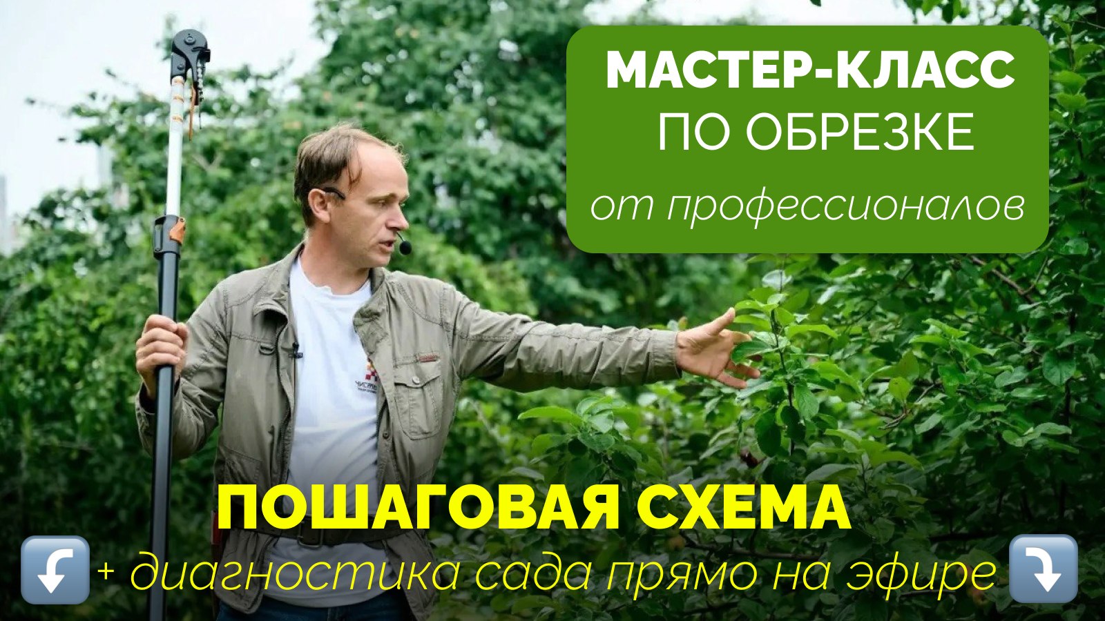 Мастер-класс по обрезке деревьев