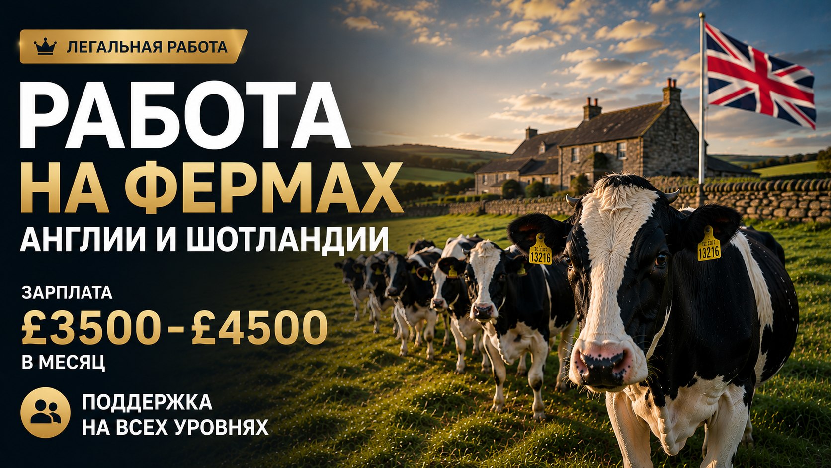@ksenia_recruitmentcap