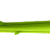 🌱