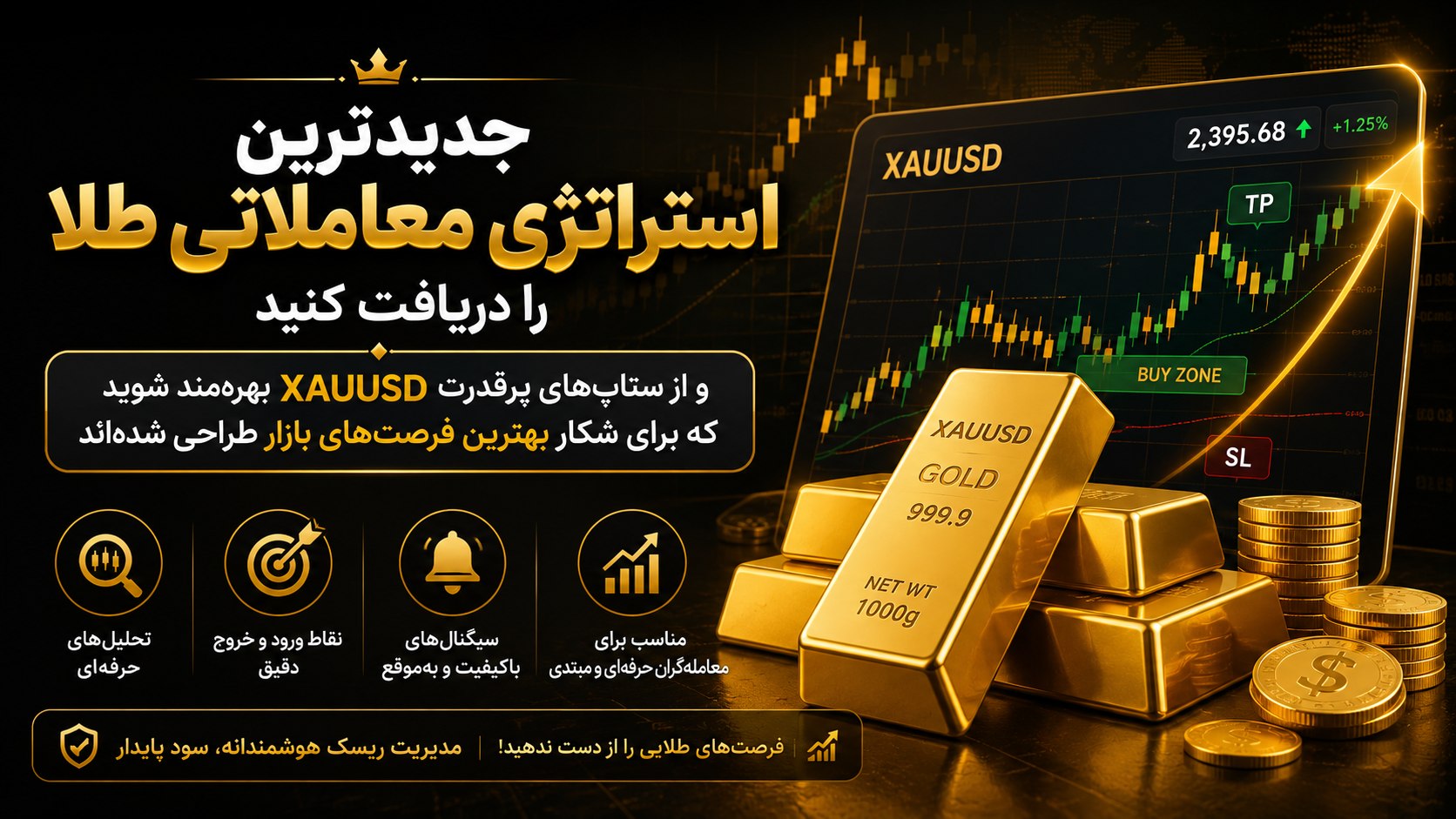 Haider Forex Trader