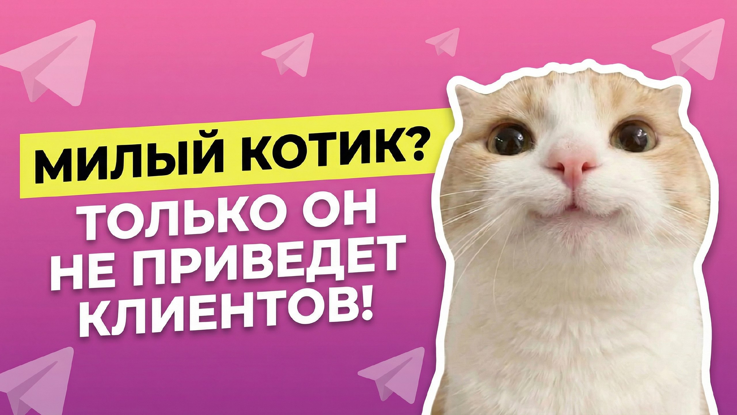 Nikita Fox | Трафик для онлайн-школ