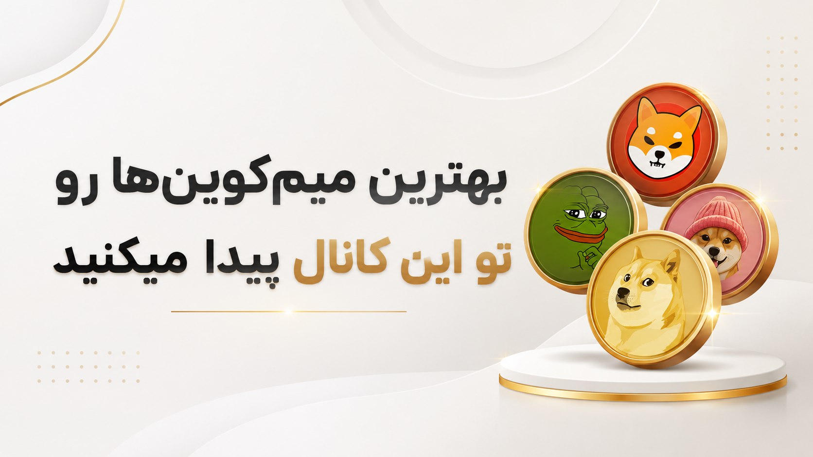 شکارچی میمکوین