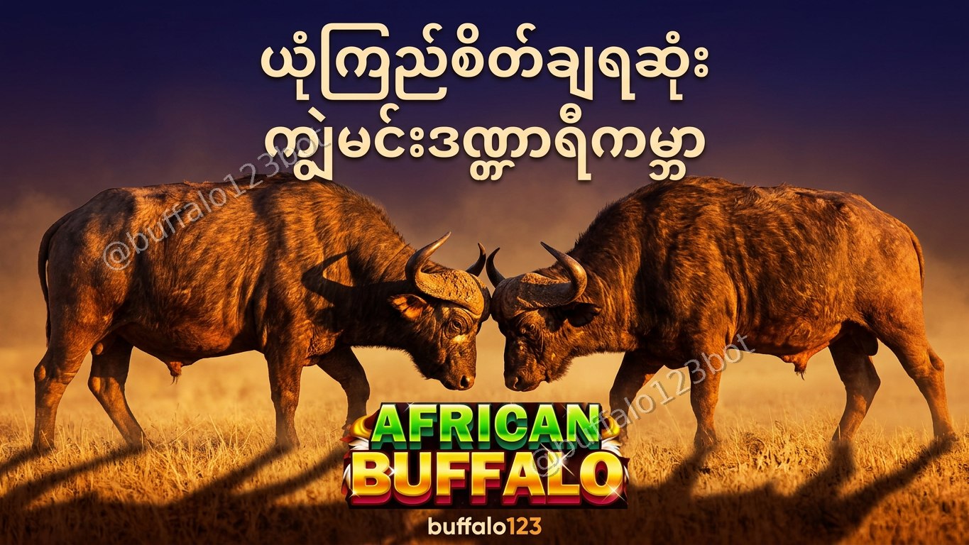 ကျွဲဂိမ်း Buffalo123 Official