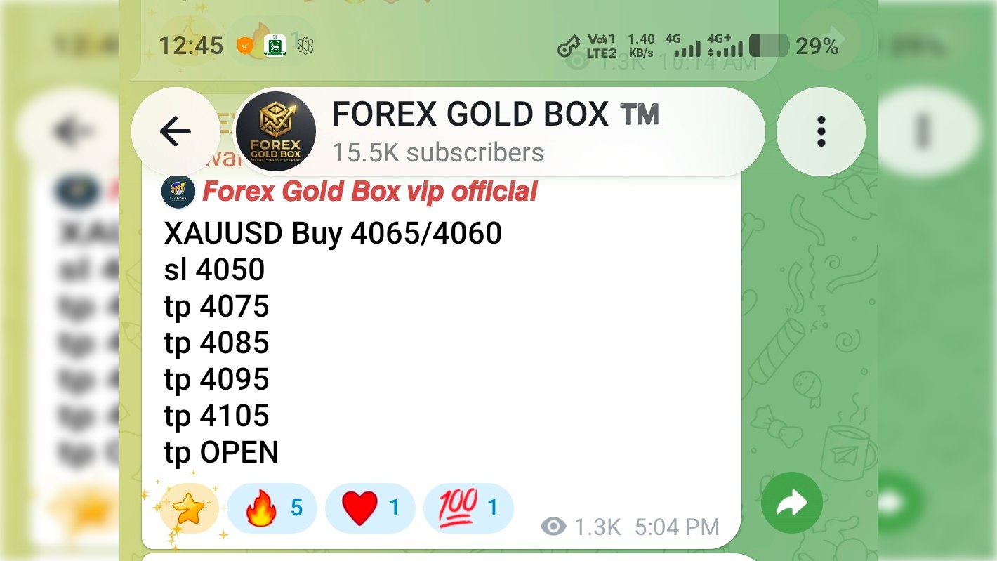 FOREX GOLD BOX ™️